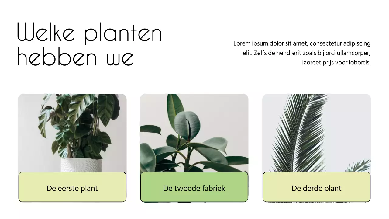 Wit en Groen Minimal Bloemenwinkel Introductie van het bedrijf