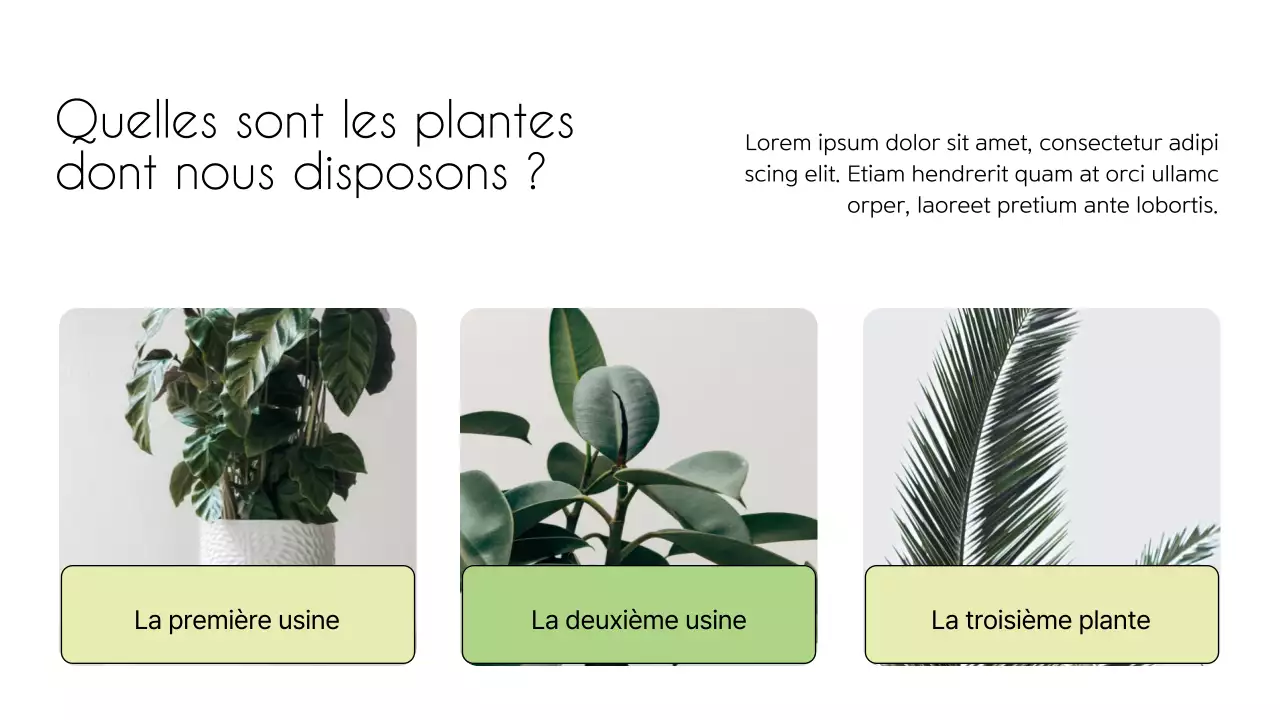 Introduction de la société Flower Shop Minimal blanc et vert