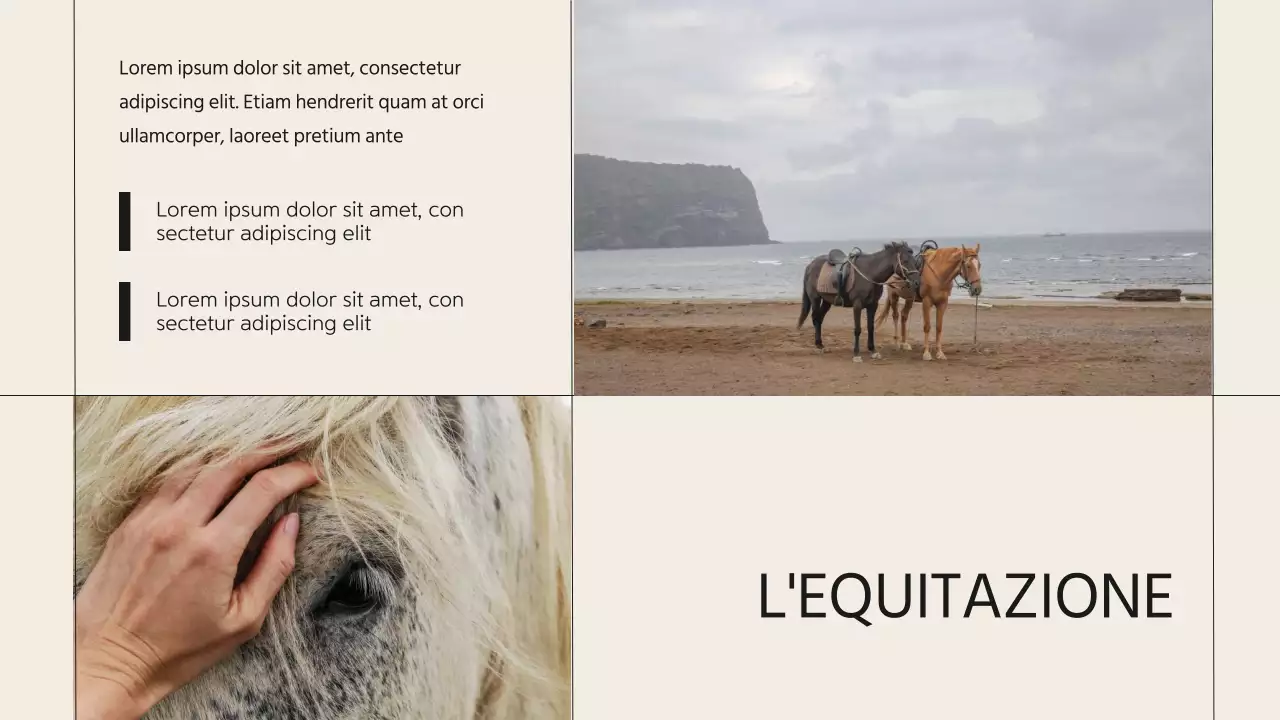 Introduzione dell'azienda Beige Minimal Horse Club