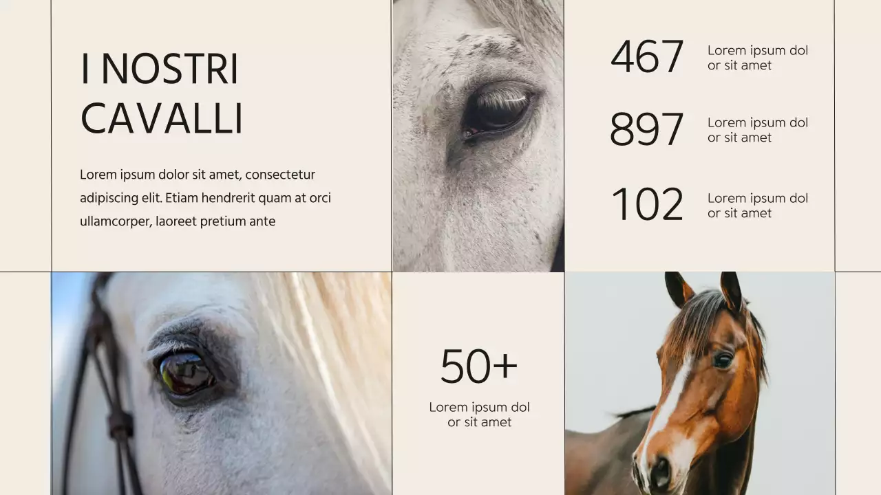 Introduzione dell'azienda Beige Minimal Horse Club