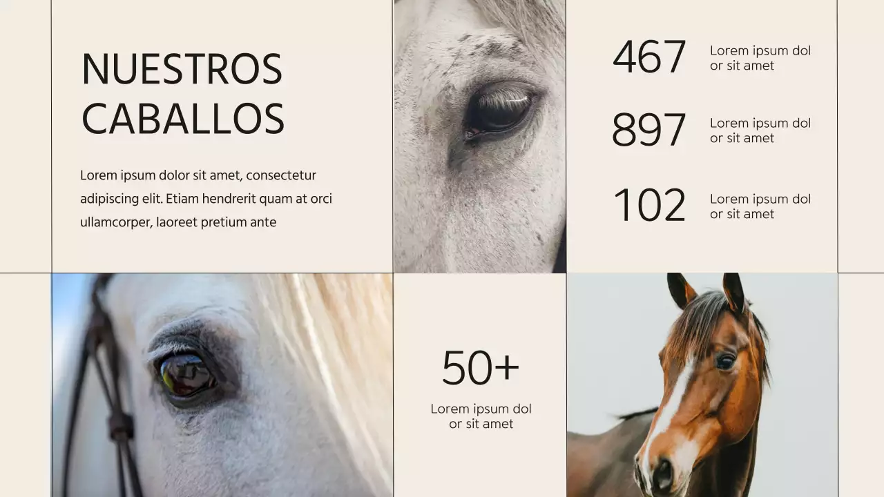 Presentación de la empresa Beige Minimal Horse Club