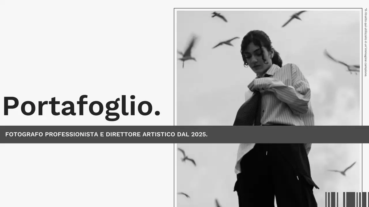 Tendenza grigia e bianca Materiale minimale per portfolio di fotografi