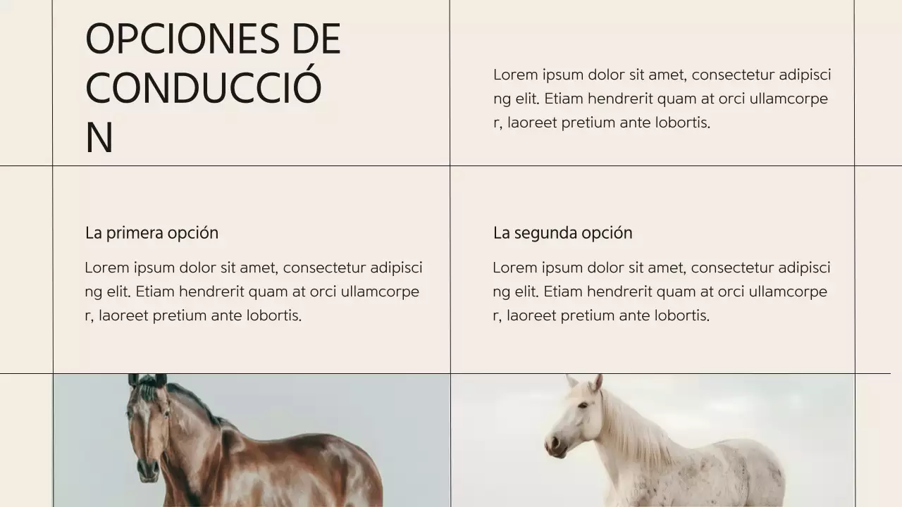 Presentación de la empresa Beige Minimal Horse Club