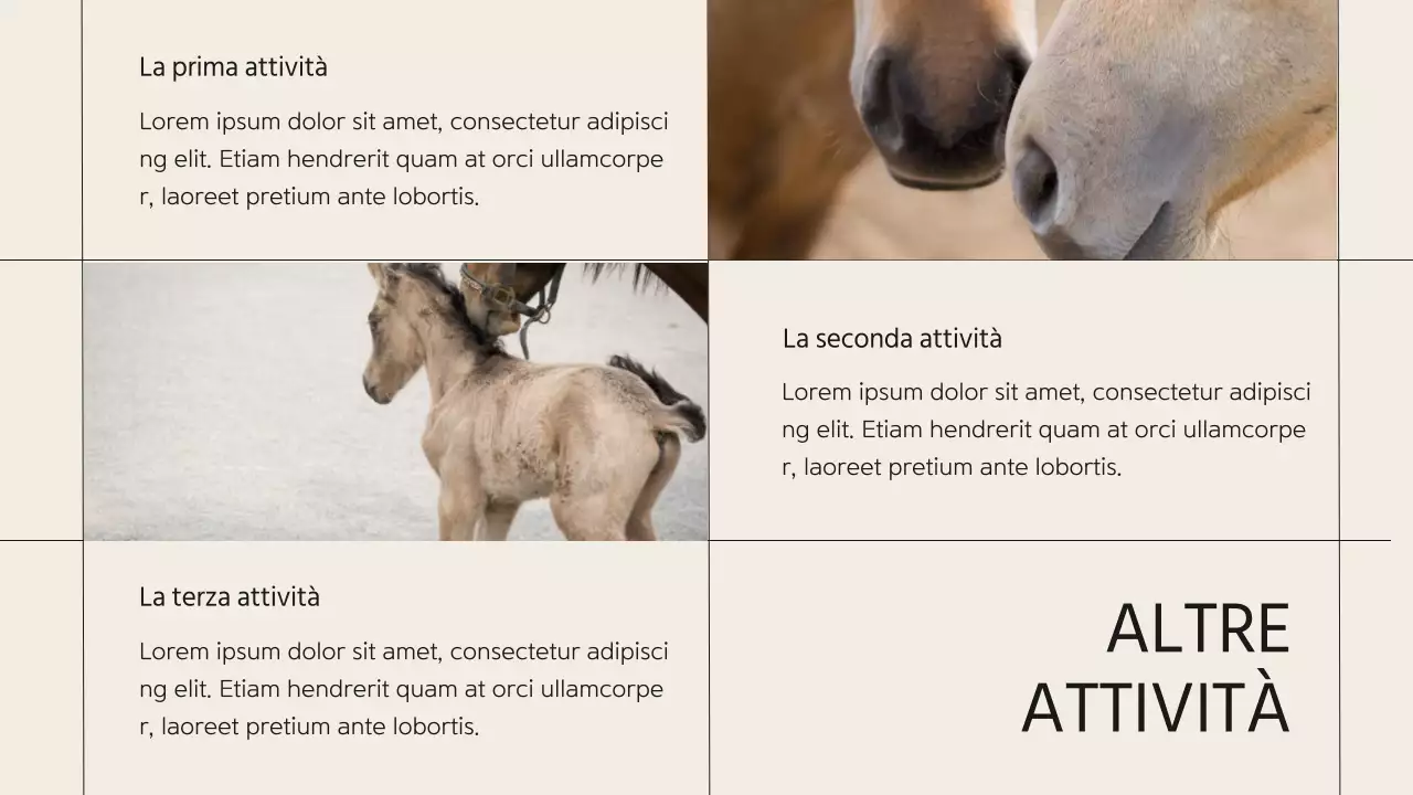 Introduzione dell'azienda Beige Minimal Horse Club