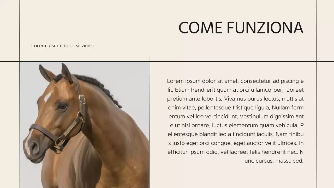Introduzione dell'azienda Beige Minimal Horse Club
