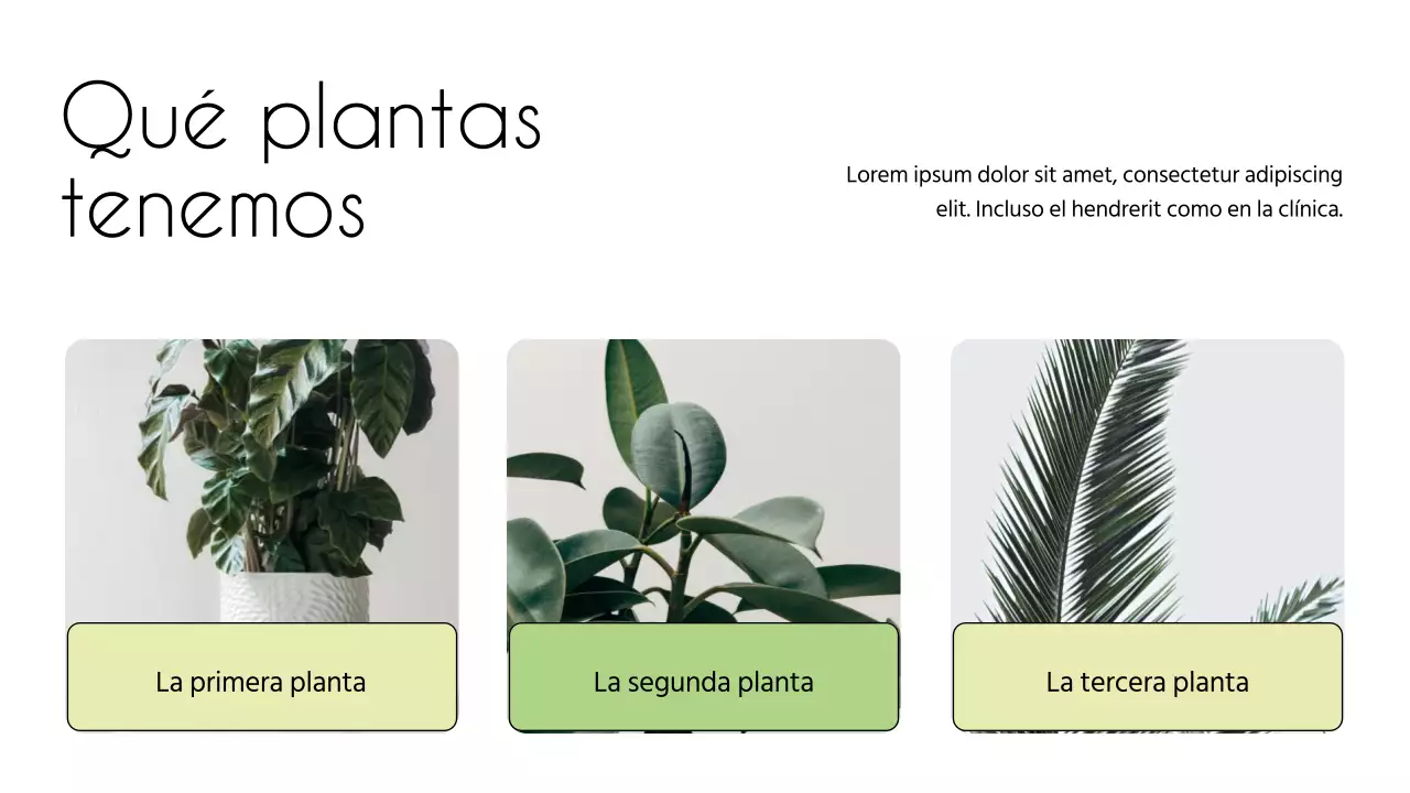 Presentación de una floristería minimalista en blanco y verde