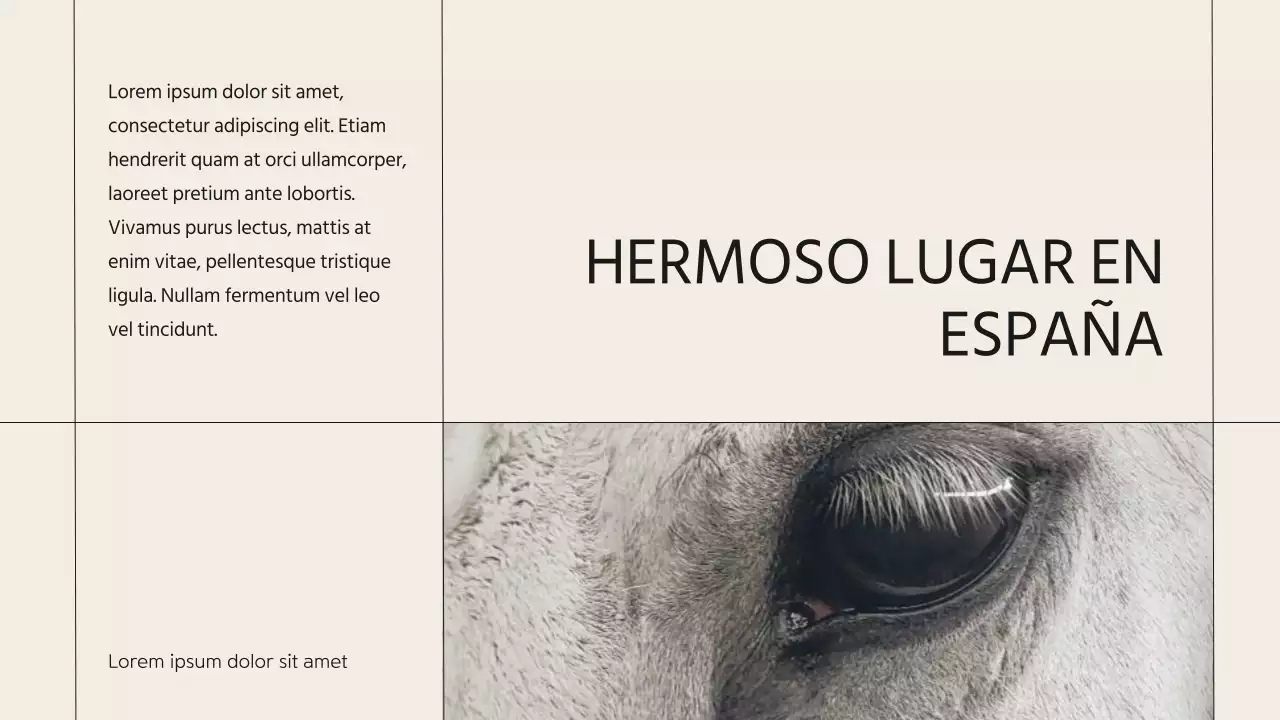 Presentación de la empresa Beige Minimal Horse Club