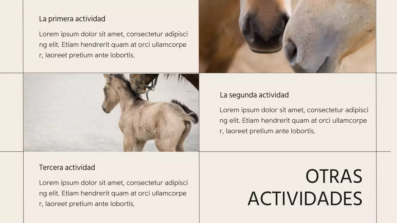 Presentación de la empresa Beige Minimal Horse Club