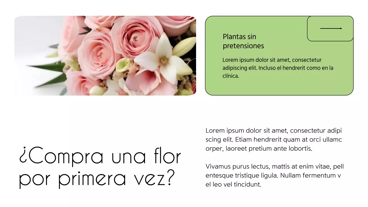 Presentación de una floristería minimalista en blanco y verde