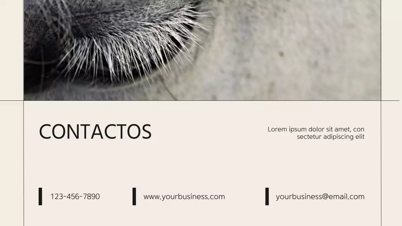 Presentación de la empresa Beige Minimal Horse Club