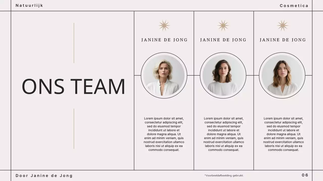 Beige Bruin Modern Cosmetica Merkenboek Presentatie