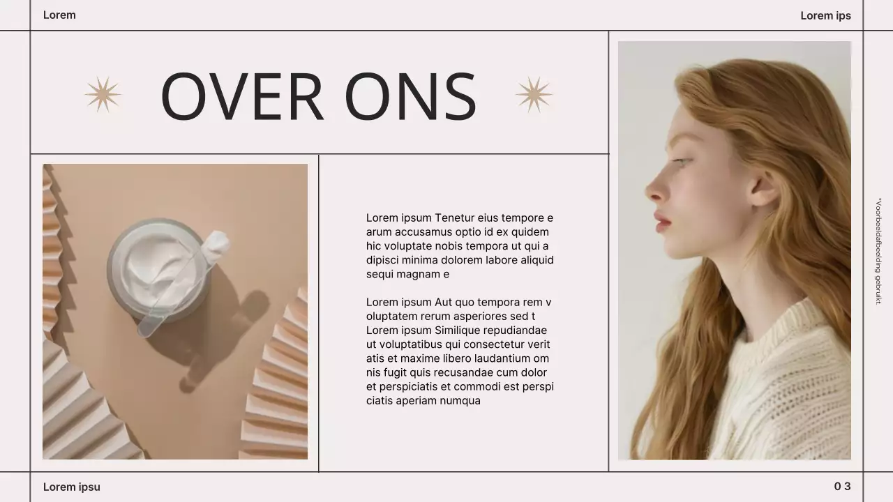 Beige Bruin Modern Cosmetica Merkenboek Presentatie