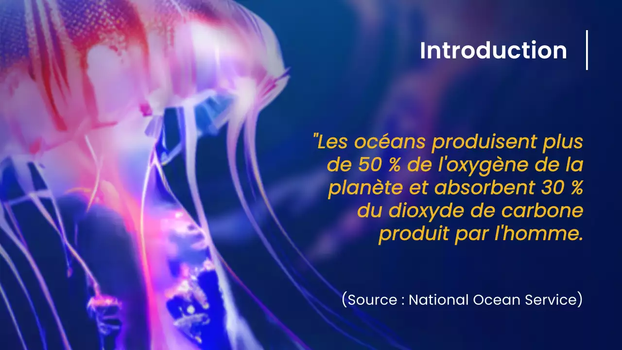 Navy Yellow Nature Ocean Lecture Material