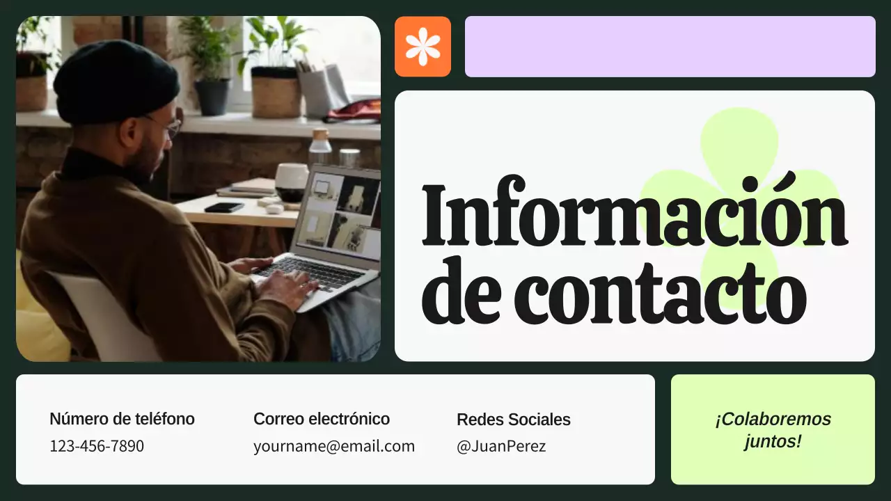 Verde y morado Cartera de diseñador gráfico