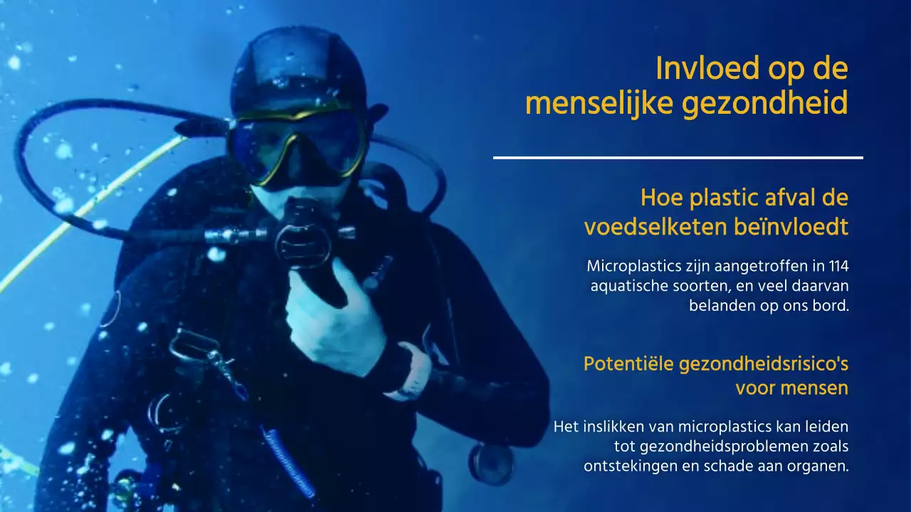 Marine Geel Natuur Oceaan Lezing Materiaal