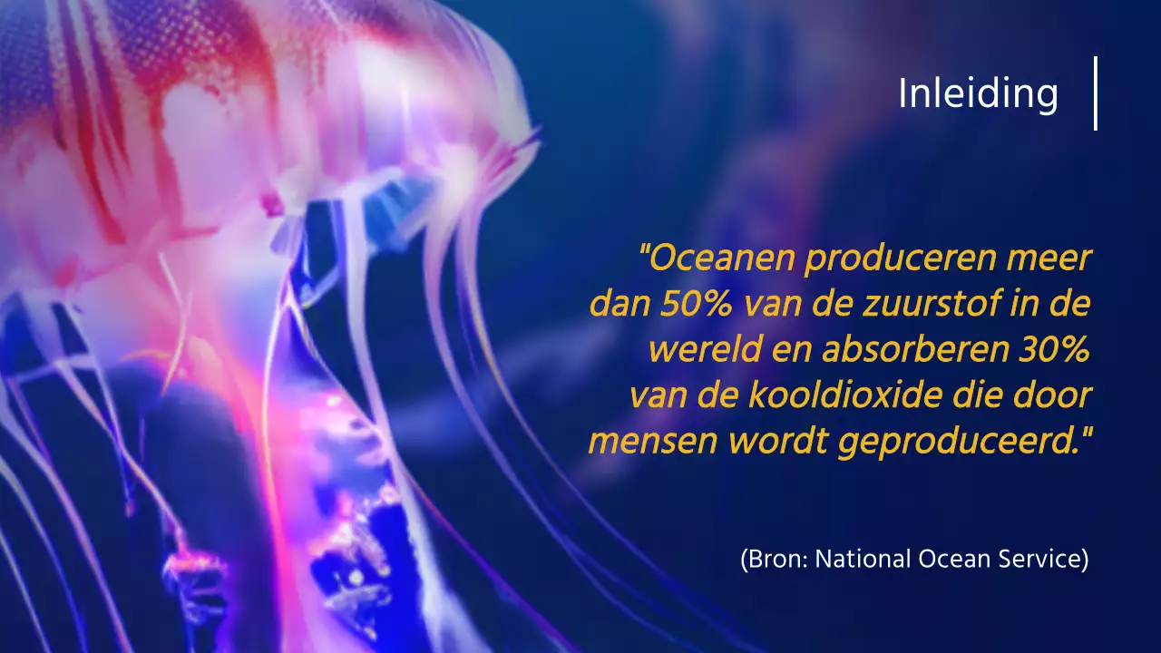 Marine Geel Natuur Oceaan Lezing Materiaal