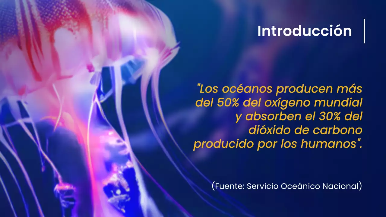 Azul marino Amarillo Naturaleza Océano Material de lectura