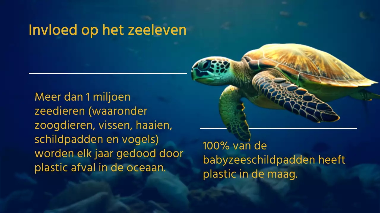 Marine Geel Natuur Oceaan Lezing Materiaal
