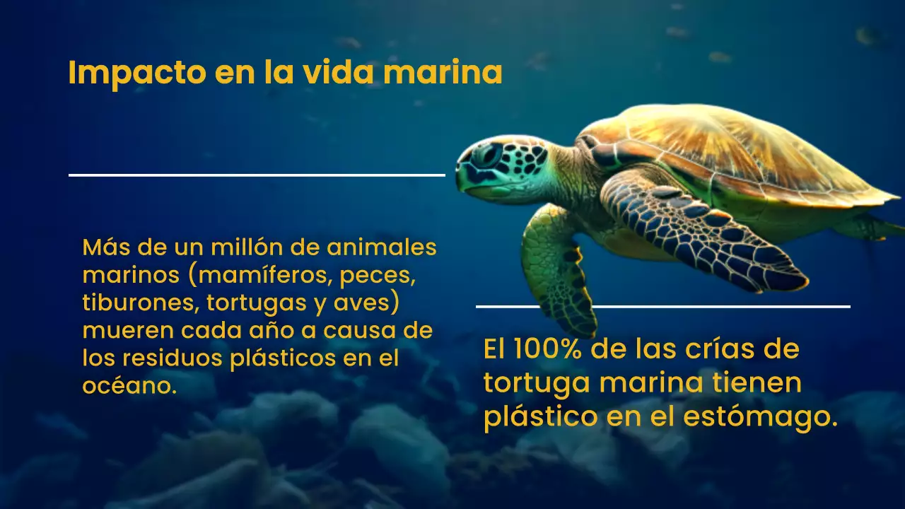 Azul marino Amarillo Naturaleza Océano Material de lectura