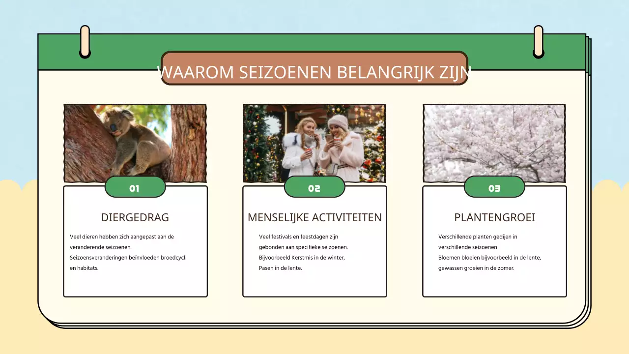 Gele blauwe eenvoudige natuurlijke vier seizoenen lesmaterialen