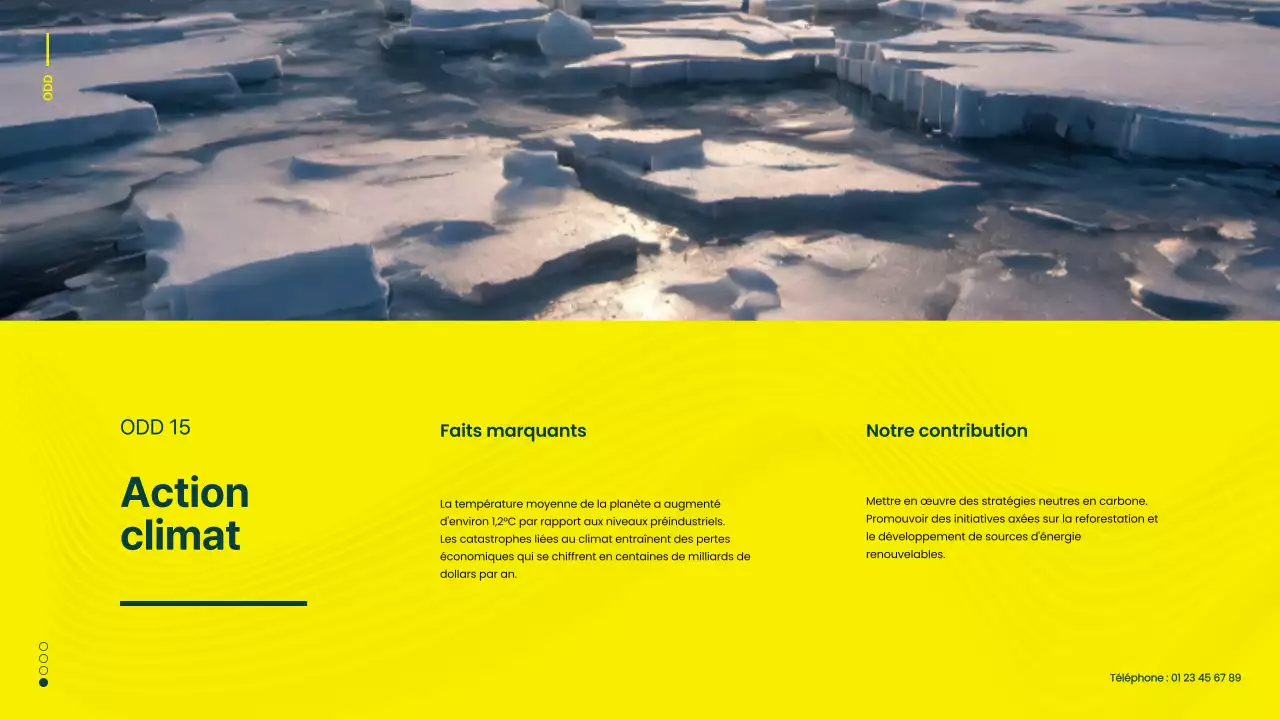 Campagne verte et jaune pour les objectifs de développement durable