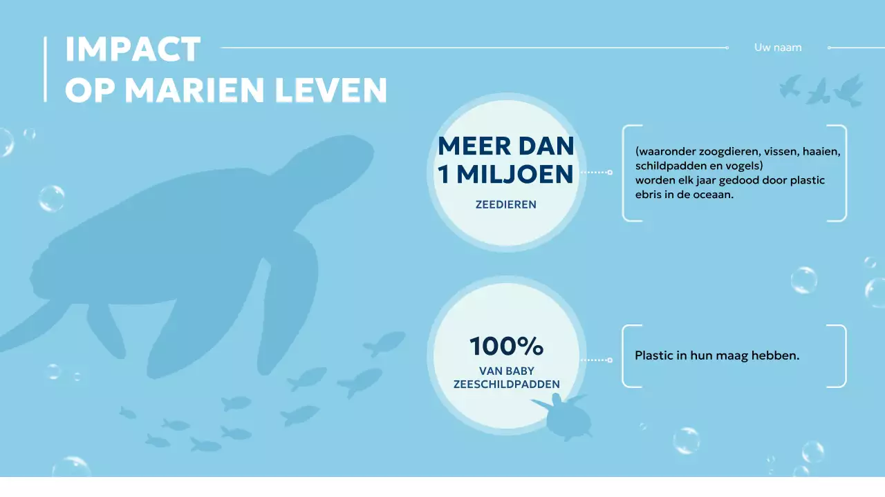 Blauw en wit Modern Oceaanbeschermingsklasse Materiaal