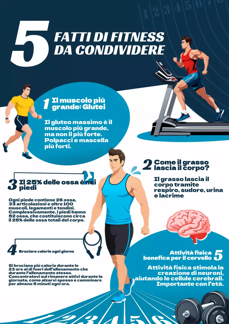 Blu Rosso Geometrico Semplice Fitness Fatti Infografici Newsletter