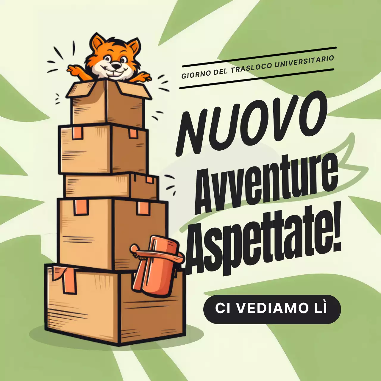 promozione del giorno del trasloco universitario semplice verde e bianco