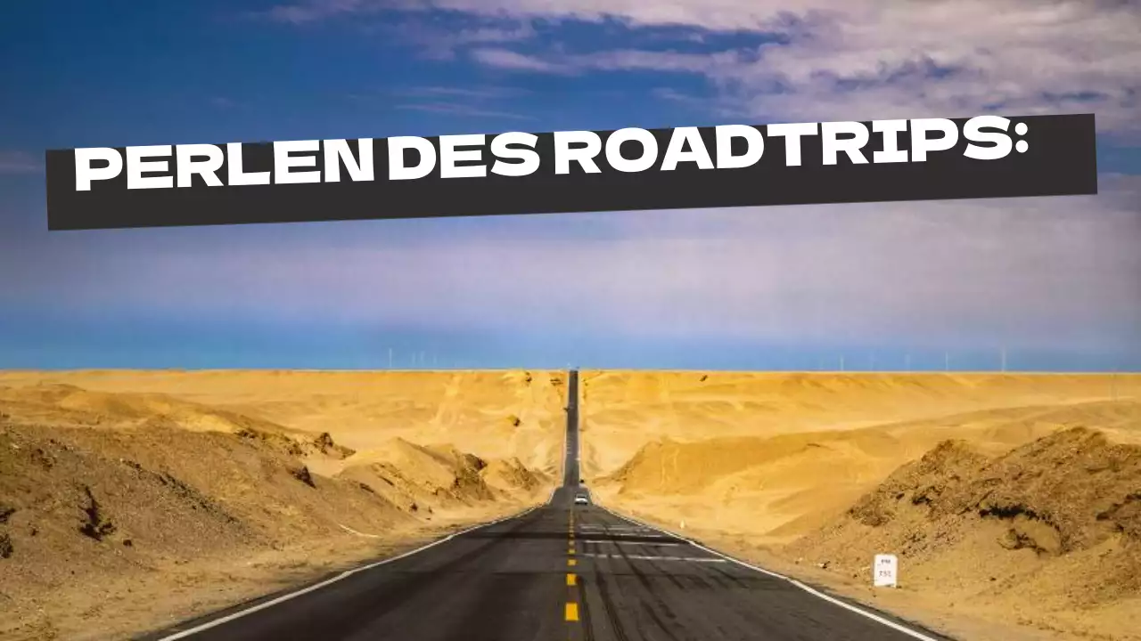 Gelb Grau Fett Road Trip Reiseführer