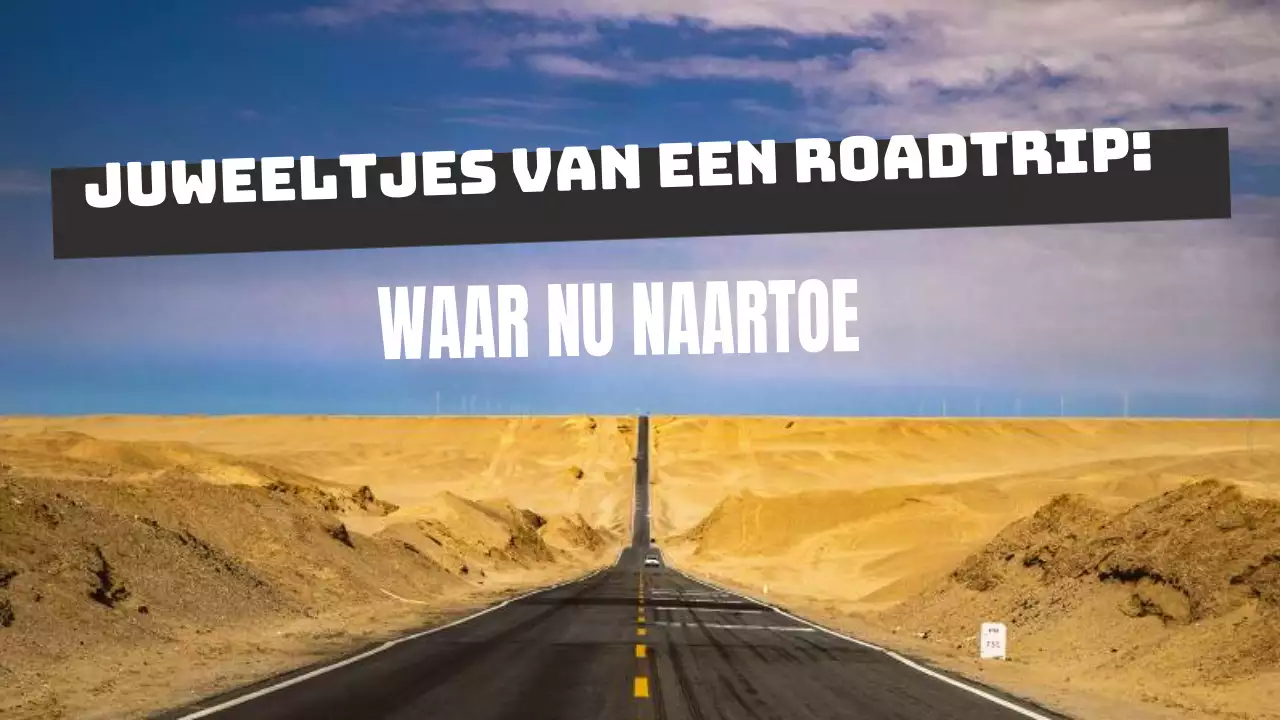 Geel Grijs Vet Road Trip Bestemmingsgids