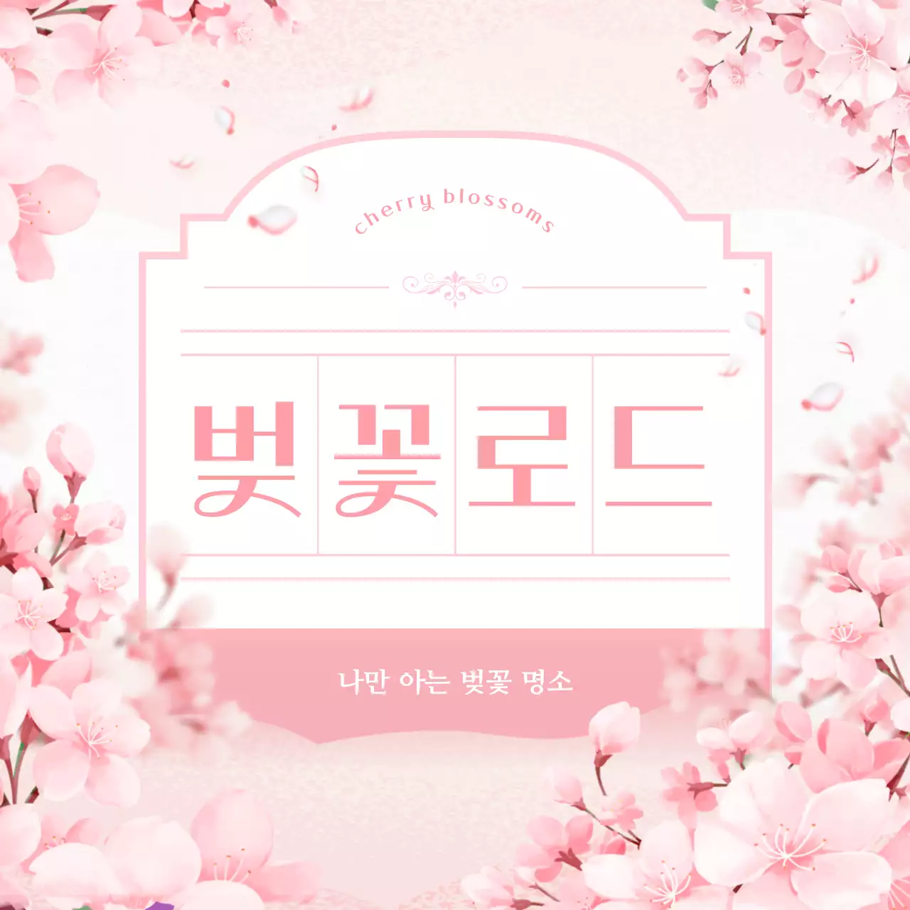 핑크 아기자기한 벚꽃 축제 안내