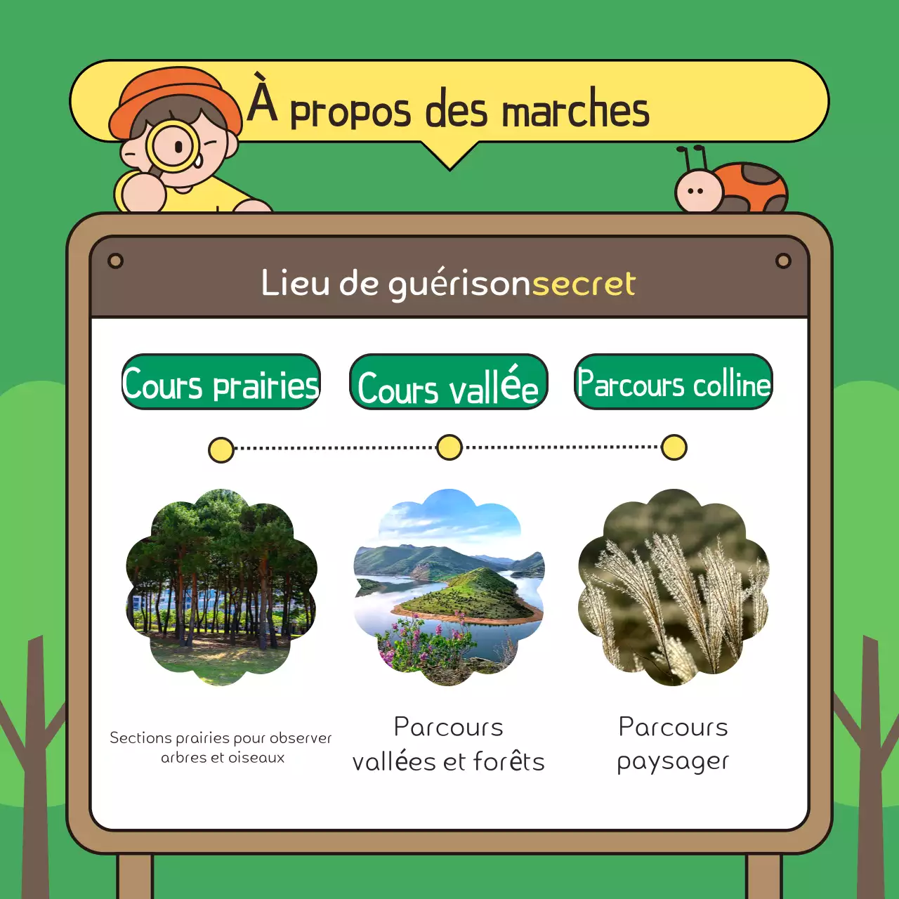 Promouvoir une promenade verte et brune dans le parc