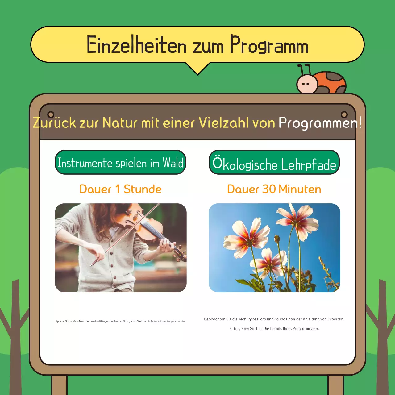 Förderung eines grün-braunen Spaziergangs im Park