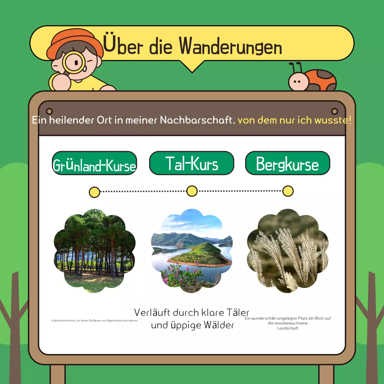 Förderung eines grün-braunen Spaziergangs im Park