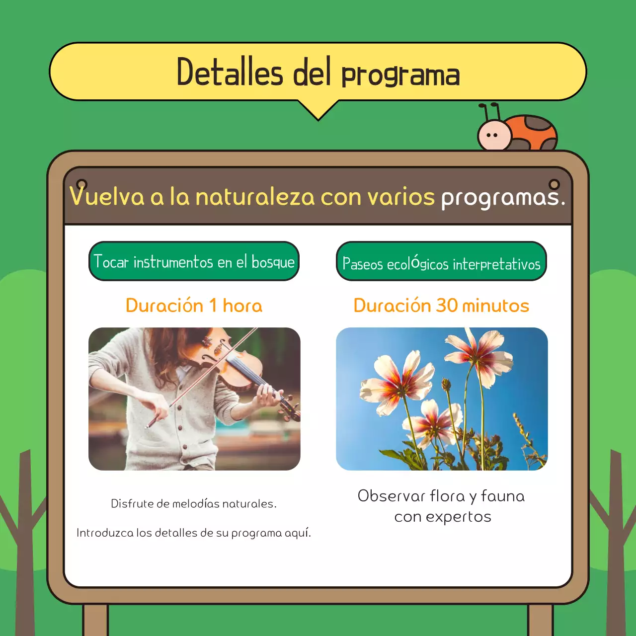 Promover un paseo verde y marrón por el parque