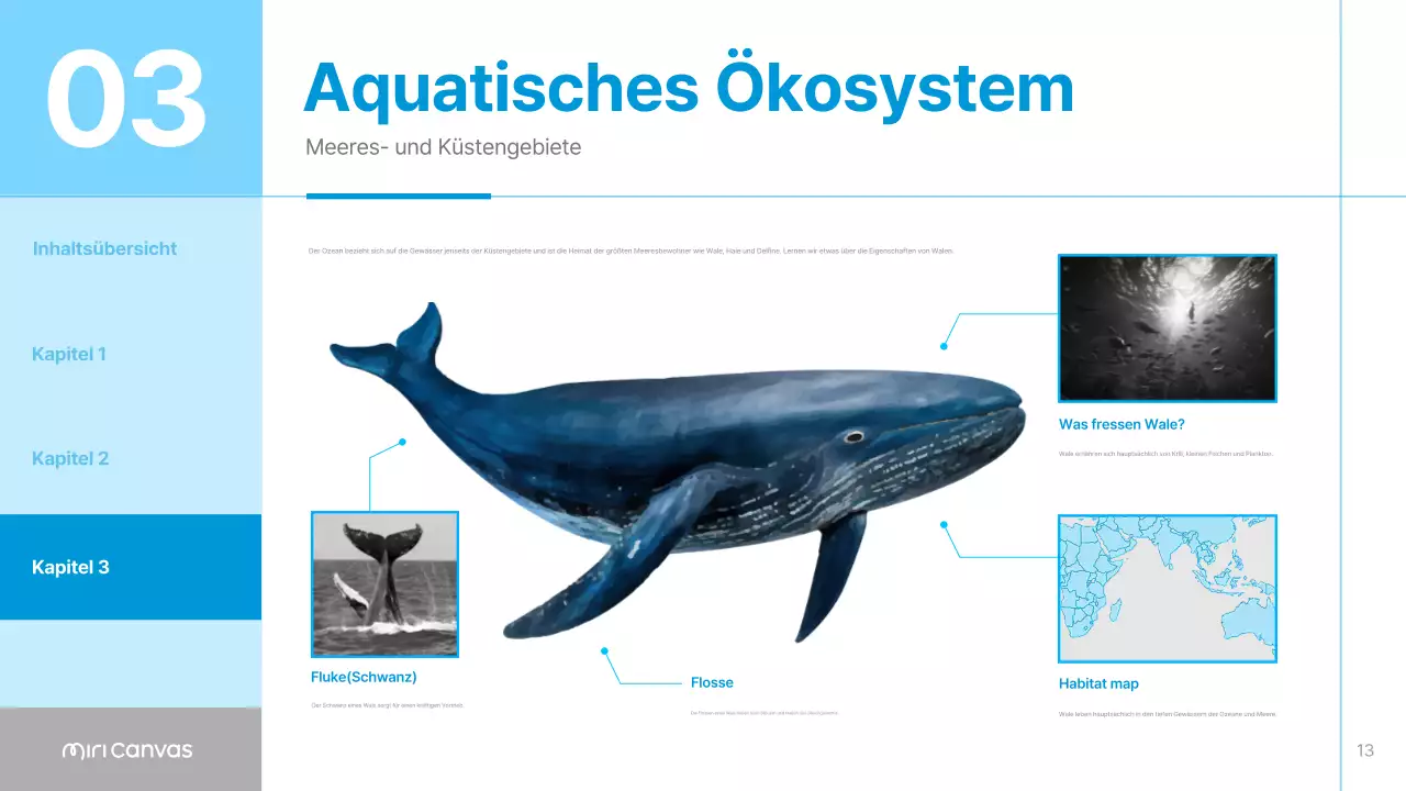 Blaue und himmelblaue einfache Materialien für Tierlebensräume