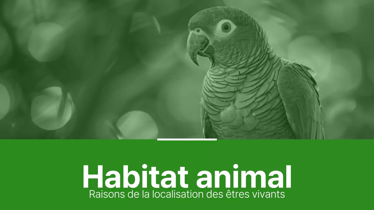 Matériaux pour l'habitat animalier simple vert et vert clair