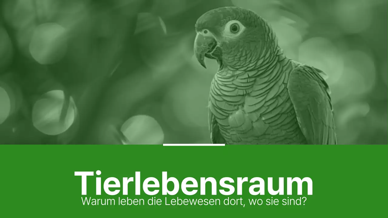 Grüne und hellgrüne Materialien für einfache Tierlebensräume