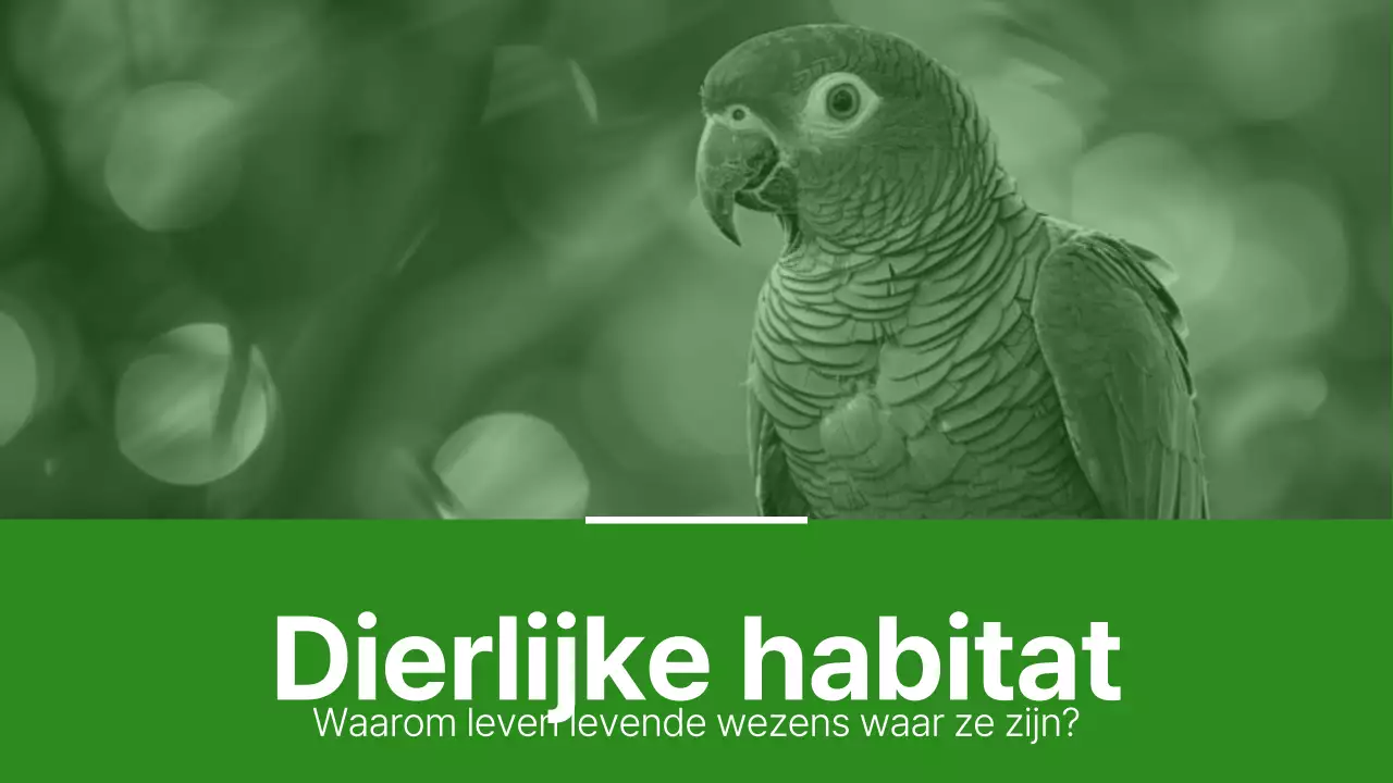 Groene en lichtgroene eenvoudige habitatmaterialen voor dieren