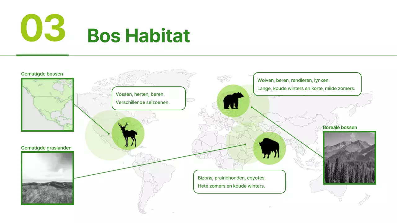 Groene en lichtgroene eenvoudige habitatmaterialen voor dieren