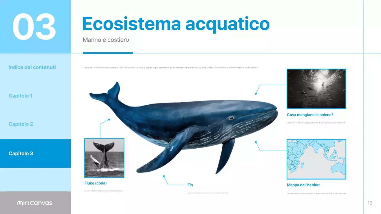 Materiali per habitat animali semplici di colore blu e azzurro