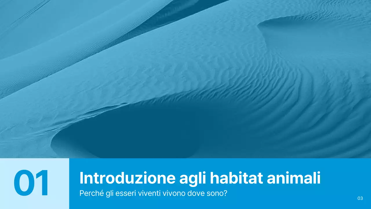 Materiali per habitat animali semplici di colore blu e azzurro