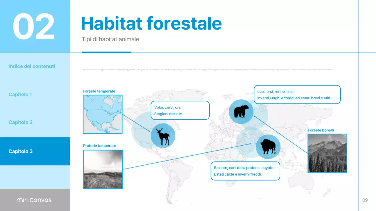 Materiali per habitat animali semplici di colore blu e azzurro