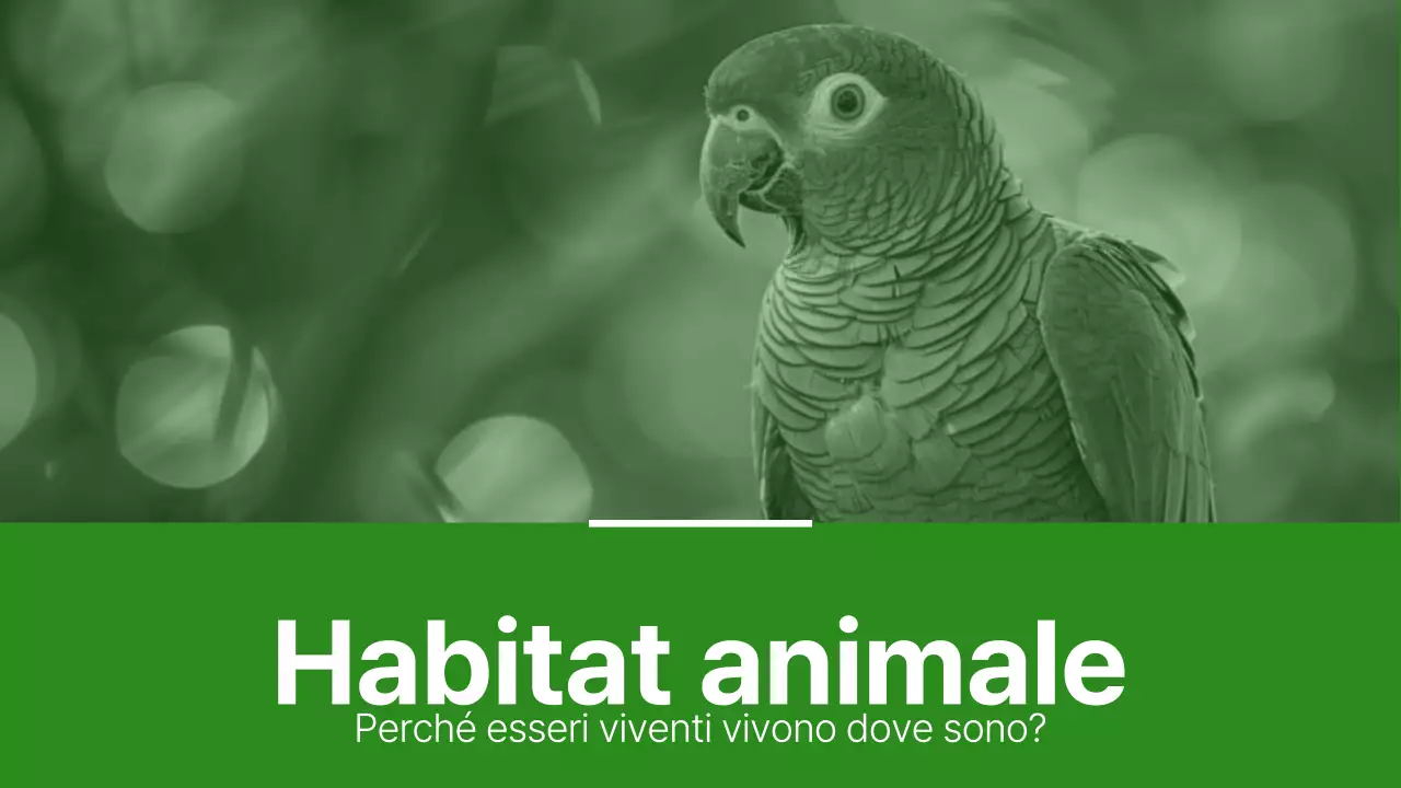 Materiali per habitat animali semplici di colore verde e verde chiaro
