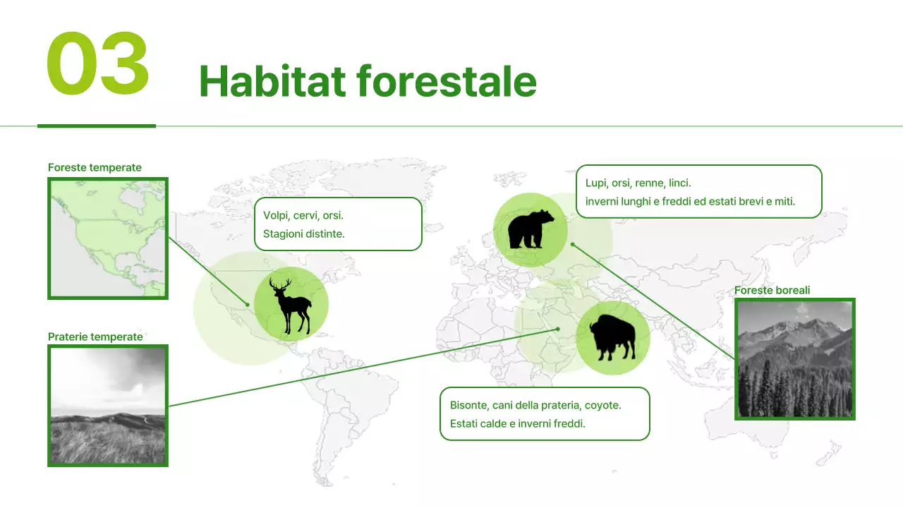 Materiali per habitat animali semplici di colore verde e verde chiaro
