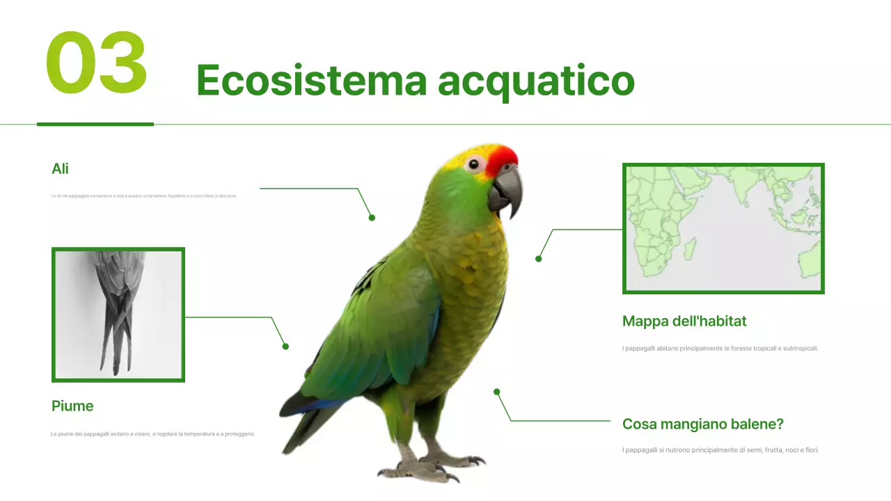 Materiali per habitat animali semplici di colore verde e verde chiaro