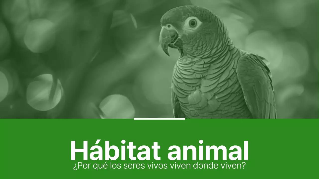 Materiales para hábitats animales sencillos de color verde y verde claro