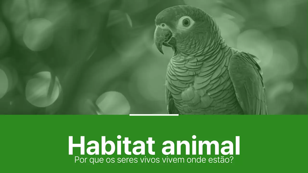 Materiais de habitat animal simples verdes e verdes claros