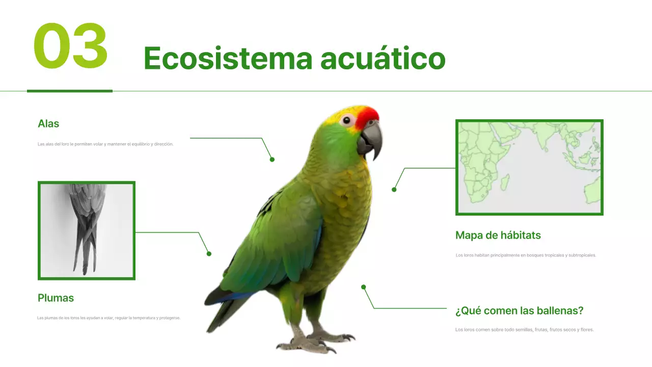 Materiales para hábitats animales sencillos de color verde y verde claro