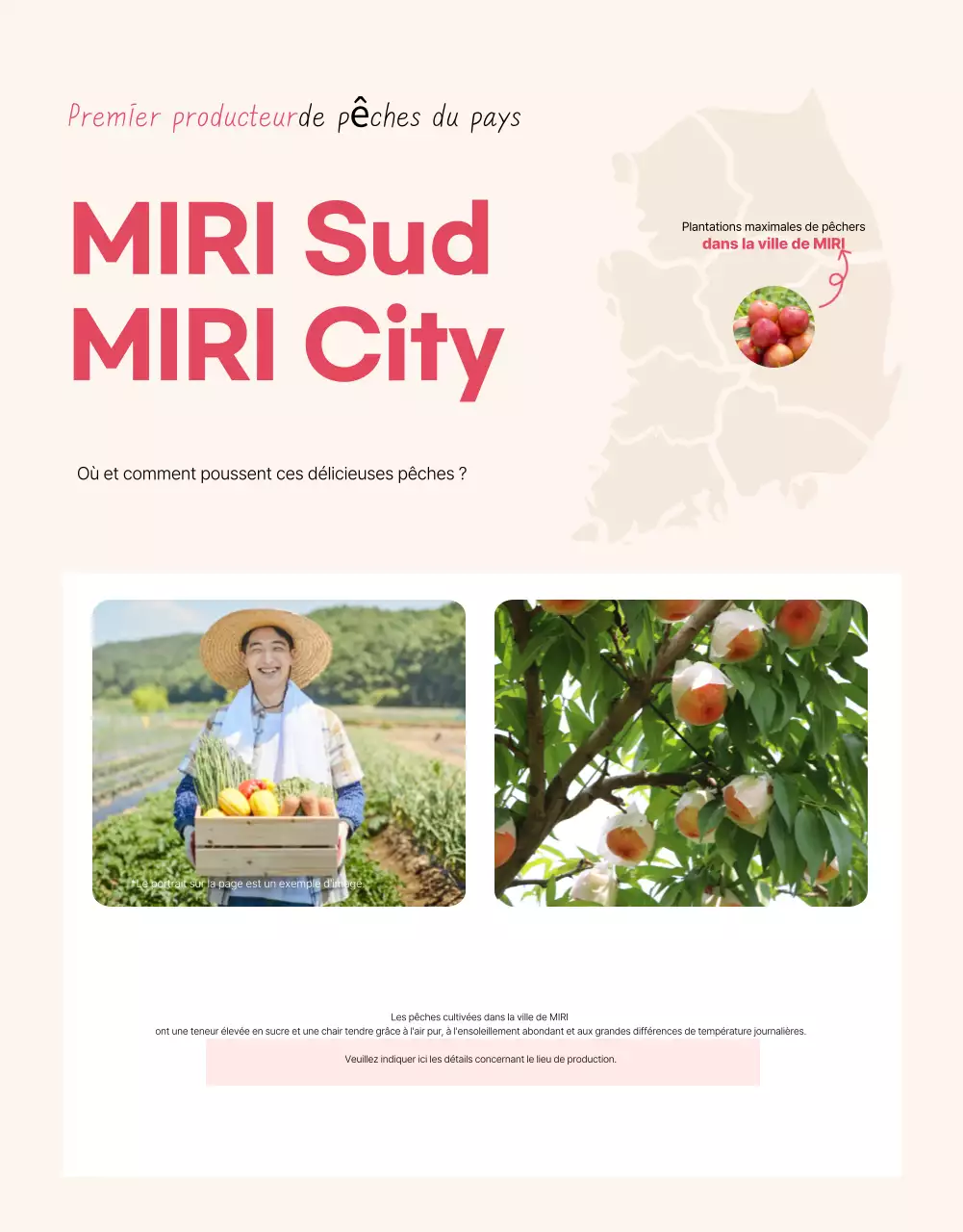 Publicité de base sur les fruits de saison en rose